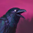 icon Grim Soul(Grim Soul: Dark Survival RPG) 7.4.1