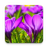 icon Beautiful Spring Flowers Live Wallpaper(Bellissimi fiori primaverili) 1.0.8