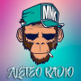 icon Aleteo Radio (Aleteo Radio
)