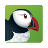icon Puffin Cloud Browser(Puffin Web Browser) 9.10.2.51584