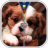 icon com.androbeings.puppy.zipper.lock.screen.free(Puppy Dog Zipper Lock Screen) 50.0