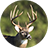 icon Whitetail Deer Calls(Chiamate dei cervi di Whitetail) 5.1.0