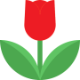 icon CONFE2 (CONFE2
)