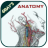 icon Anatomy(Grey's Anatomy - Anatomia Atlas
) 5.5