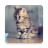 icon Cats Wallpapers(Sfondi di gatti) 1.3.5