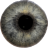 icon Eye Diagnosis(Diagnosi oculare) 1.4.3
