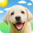 icon Weather Puppy(Weather Puppy - App e widget) 5.8.9