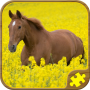 icon Horse Puzzles Free(Horse Jigsaw Puzzle HD)