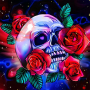 icon Skull Coloring Book Color Game (Cranio Libro da colorare Gioco a colori)