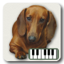 icon Piano of dogs(Piano di Cani)