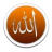 icon Islamic Messages(Messaggi islamici quotidiani) 5.0
