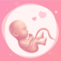 icon Pregnancy Tracker & Baby Guide (Tracciatore di gravidanza e guida del bambino
)