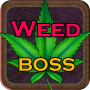 icon Weed Boss(Weed Boss - Esegui una fattoria Ganja Be Firm Tycoon Inc)