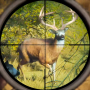 icon Jungle Hunting(Giochi di caccia di animali selvatici Pistola
)