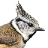 icon com.sunbirdimages.birds_at_gold(dell'Austria) 1.1