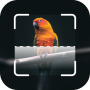 icon Bird Identify(Identificazione degli uccelli: app per l'identificazione degli uccelli con immagini
)