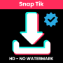 icon SnapTik(SnapTik: Downloader video per TikTok No Watermark
)