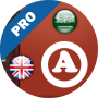 icon Bronze Dictionary(Dizionario bronzo)