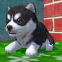icon Cute Pocket Puppy 3D(Carino Pocket Puppy 3D)