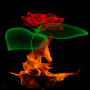 icon Fiery Rose Magic LWP(LWP Fiery Rose Magic)