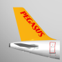 icon Pegasus: Cheap Flight Tickets (Pegasus: biglietti aerei economici)