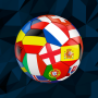 icon International Football Sim