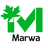 icon Marwa Foods 19.1.0
