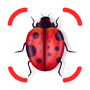 icon Insect ID(Identificatore di insetti - identità)