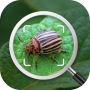 icon Insect identification: Bug identifier - Bug finder (Identificazione degli insetti: Identificatore di bug - Bug finder
)