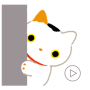 icon Animated Cats Stickers(Adesivi animati 3D con gatti Gif
)