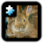 icon Rabbit Puzzle(Jigsaw Puzzle: coniglio) 2.0