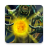 icon Lost Lands 6(Lost Lands 6
) 2.2.1.1597.173