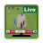 icon Cricket Live Tv(Cricket Live Tv Sports
) 4.1.0