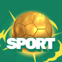 icon Sport Expert(Sport Expert
)