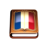 icon com.NoureElHouda.Dictionnaire1FR(dizionario francese francese francese) 2.2.3