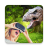 icon VR Videos(360) 1.0.7