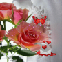 icon com.dakshapps.pinkrosebutterfly(LWP Pink Rose Butterfly)