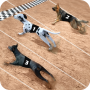 icon Racing Dog Simulator: Crazy Dog Racing Games (Racing Dog Simulator: Crazy Dog Racing Games
)