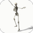 icon Dancing Skeleton Video LWP(Scheletro danzante Temi video) 4.0