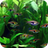 icon Aquarium 3D(Acquario Sfondi animati 3D Sfondi) 6.0