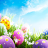 icon Happy Easter Wallpapers(Buona Pasqua sfondi HD) 1.14.8