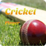 icon net.appozuri.crickvideoplayer(Giocatore di crick - Guarda video HD di cricket
)