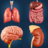 icon Organs Anatomy(Anatomia dei miei organi) 2.1