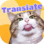 icon com.silkairtechasia.heypetscat(Traduttore da uomo a gatto: suoni di gatti reali, app per gatti
)