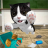 icon Cat Sim(Cat Simulator - Storie di gattini) 5.4.1