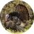 icon Turkey Calls(Chiamate della Turchia) 5.0