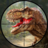 icon Real Wild Animal Hunting Games: Dino Hunting Games(Wild Dino Hunting Games
) 1.11