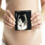 icon Ultrasound pregnancy guide(Guida alla gravidanza ad ultrasuoni)