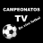 icon Campeonatos Play Tv en vivo futbol(TV in diretta Riproduci campionati) 9.8