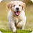 icon 7Fon Dogs(per cani e cuccioli 4K) 5.7.91